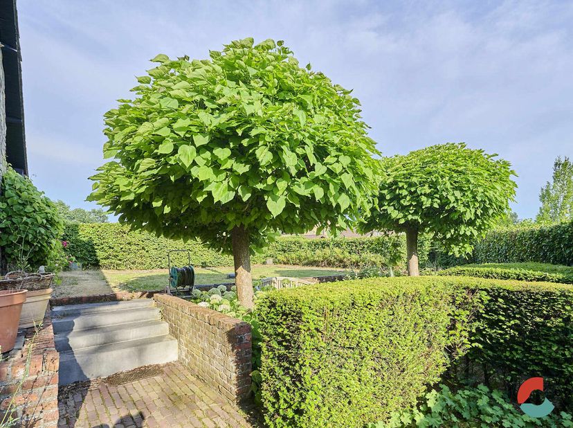 Maison à vendre
                    à 3940 Hechtel