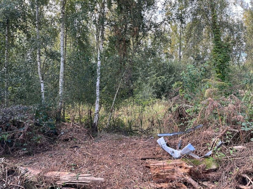Een perceel weiland met vijver op 58a, nabij de Tappelbeek, te Zandhoven / Massenhoven.<br />
Toegang langs de Liersebaan.<br />
<br />
Bij interes