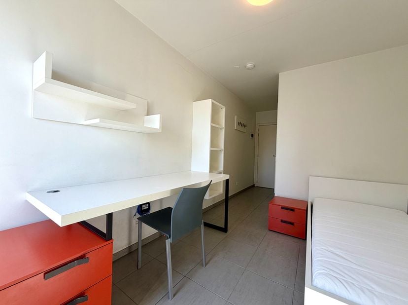 Kot-Colocation à louer
                    à 8500 Kortrijk