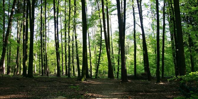 Grond te koop in Zeeweg 1 - +, 8200 Sint-Andries