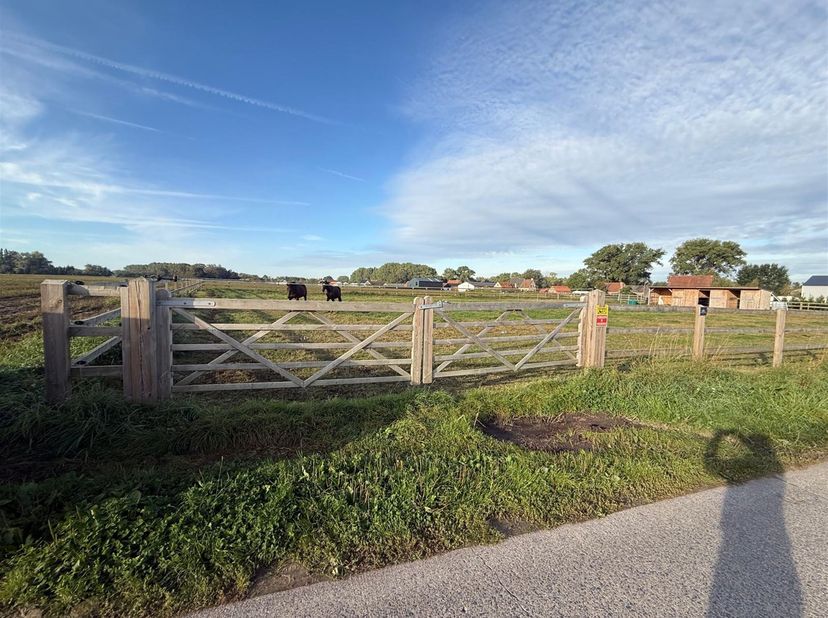 Terrain à louer à Grijsbulckstraat,
                    9800 Deinze