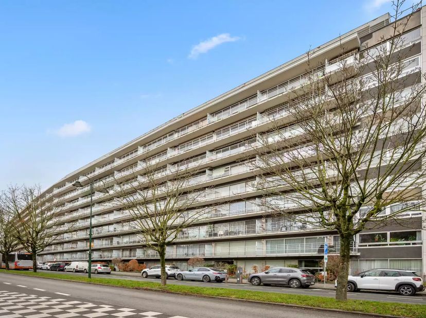 Dit ruime, te moderniseren appartement is gelegen op de achtste verdieping en biedt een unieke kans voor wie op zoek is naar een pand om volledig naar