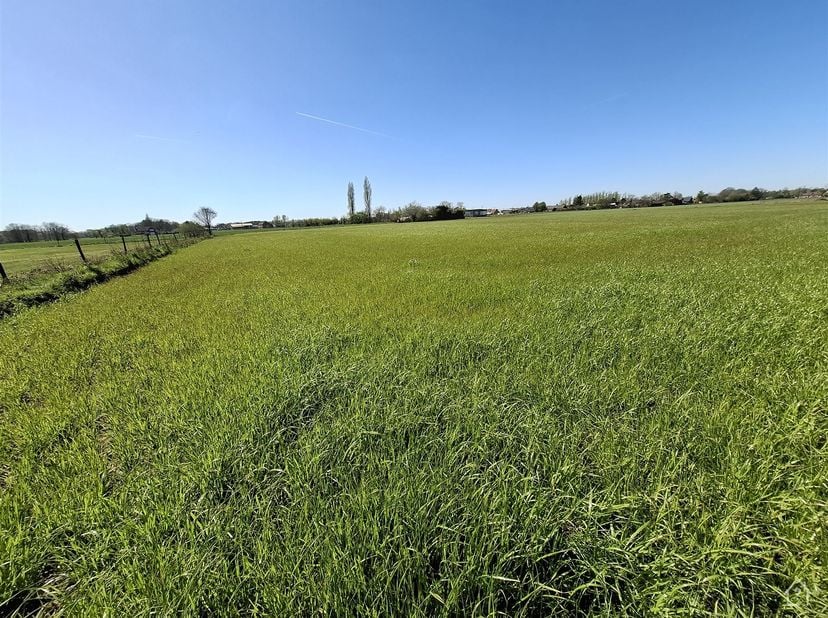 Ce terrain de pâturage facile d'accès (pas de terrain à bâtir !) est situé à la périphérie de Sint Katelijne Waver.<br />
Vous pouvez y accéder facil