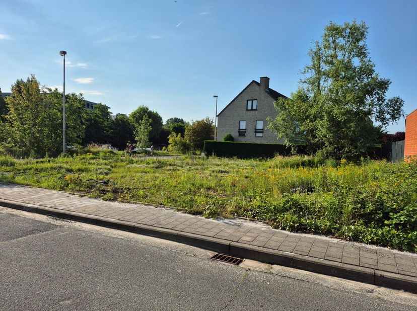 Bien professionnel à louer
                    à 9000 Gent