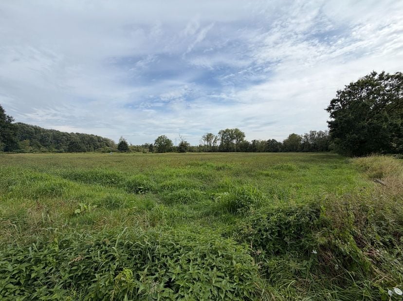 Terrain à vendre
                    à 2400 Mol