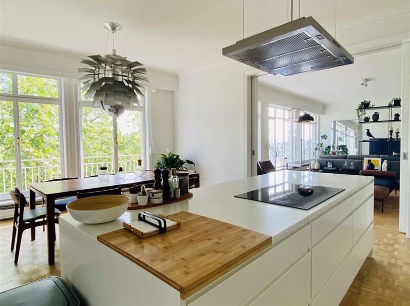 Locatie: Mooie locatie op de Louizalaan, in de buurt van het Terkamerenbos en de Abdij. Lichtegevend appartement van 240m2 volledig gerenoveerd met al