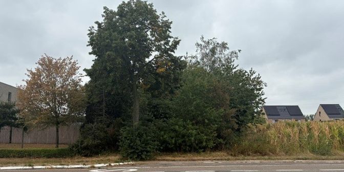 Terrain à vendre à Rijksweg 962, 3650 Elen