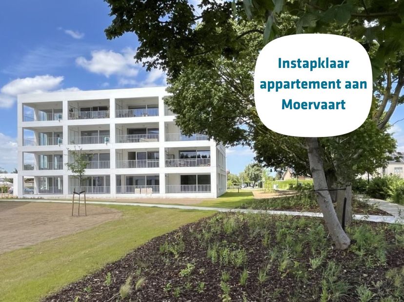 Appartement te koop in Terweststraat app. D 2.4 D 2.4,
                    9180 Moerbeke
