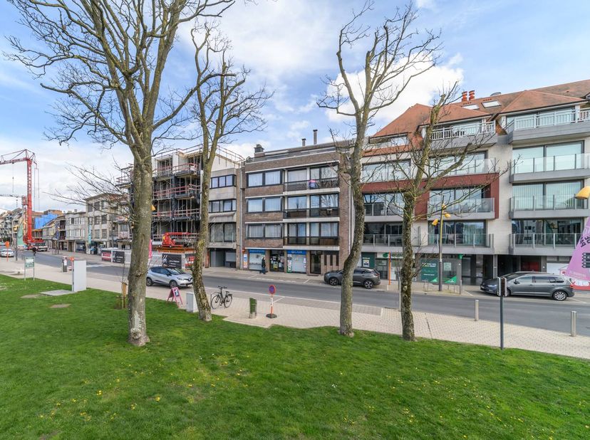 Dit handelspand met studio ligt in de commerciële Zeelaan te De Panne, recht tegenover het gemeentehuis. Totale oppervlakte van 136 m². Er zijn tal va