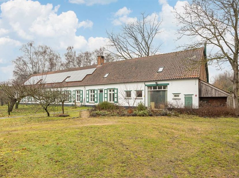 Ferme à pignons longs sur environ 5 ha près du village de Schilde, comprenant quelques parcelles de construction.<br />
<br />
Cette ferme unique a