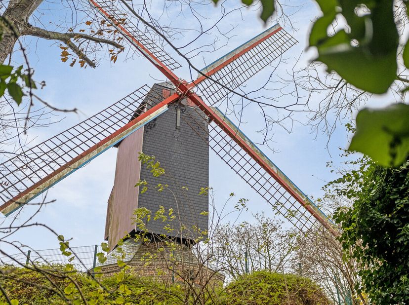 Dit zeldzaam lot grond van 866 m², gelegen in de Peterseliestraat in Brugge, met zicht op de Brugse Vesten is een unieke mogelijkheid om je droomwonin