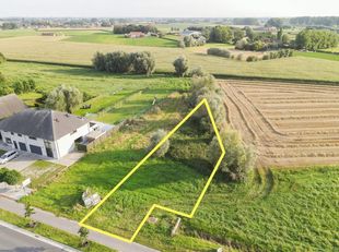 PLOT Image