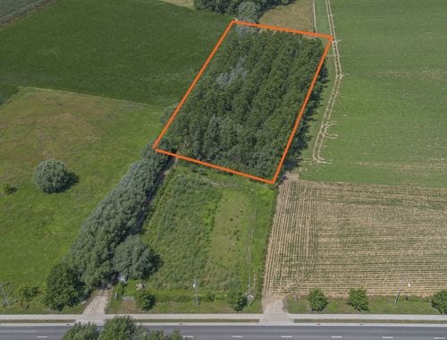                             Bois à vendre à Bambrugge
