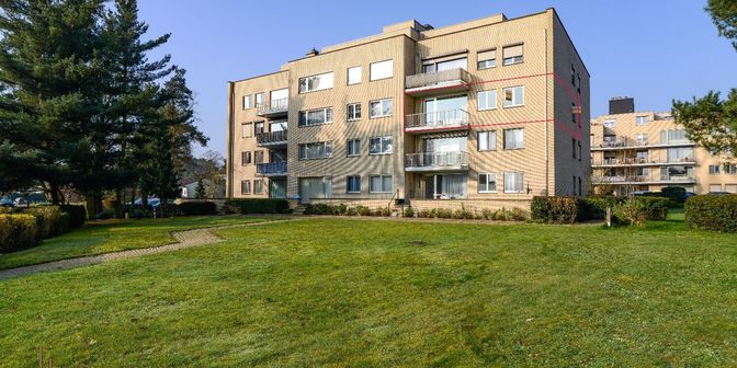 Appartement te koop in Herdersstraat 23 bus 12, 3630 Vucht