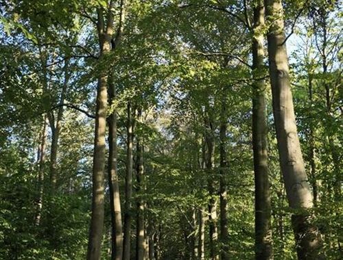                                         Terrain à bâtir à vendre à Sint-Joris-Weert, € 395.000
