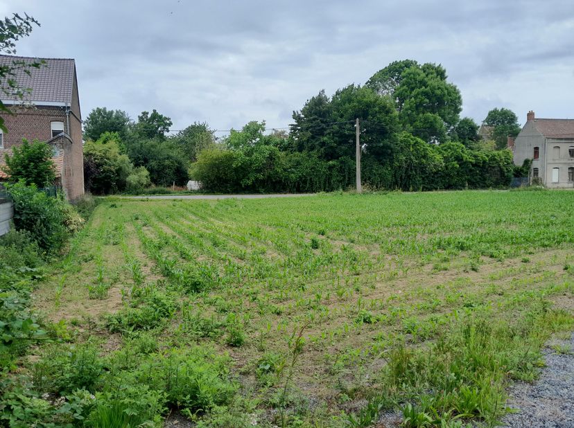 Projectgrond van 2330m² te koop in Froyennes, Doornik. Vergunning bekomen voor het bouwen van 4 woningen.<br />
Immokantoren, gelieve zich te onthoude