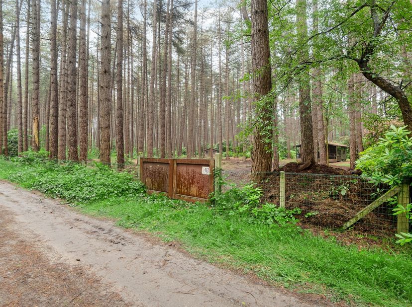 Bosgrond met chalet op riant perceel van 2607m²<br />
<br />
<br />
Ligging:<br />
Deze bosgrond is zeer rustig gelegen in een groene omgeving net