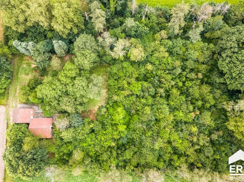 Prachtig perceel hartje Geel op 6.506,96 m² Dit prachtig perceel bevindt zich in hartje Geel, toch genietend van alle rust en comfort. Het geheel is g