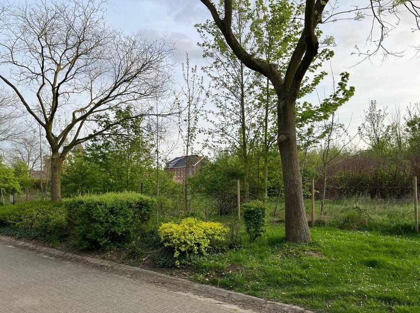 Goed gelegen lot projectgrond (tussen het centrum en het ziekenhuis) met een totale oppervlakte van 6470m². Mogelijkheid tot het bouwen van appartemen