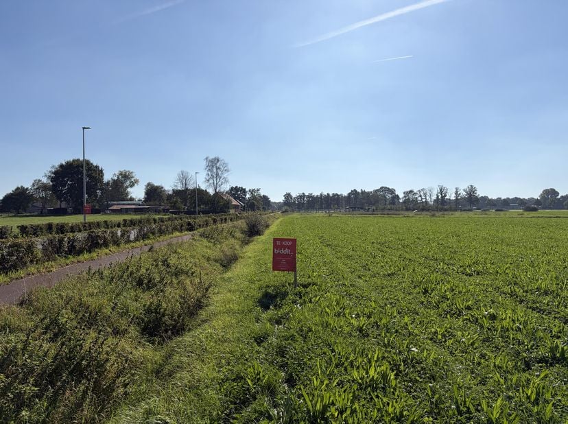 Grond te koop in Koekhoven /,
                    2330 Merksplas