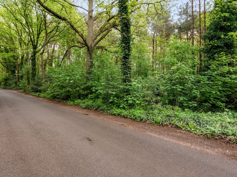 Dit stuk bosgrond in natuurgebied heeft een oppervlakte van 1.000m² en is gelegen aan een verharde weg, de Antwerpsebaan in Zandvliet.&amp;nbsp; Let op, d