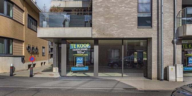 Bien professionnel à vendre à Begijnhofplein 7, 3545 Halen