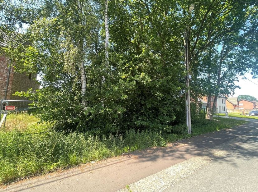 Terrain à vendre
                    à 3970 Leopoldsburg