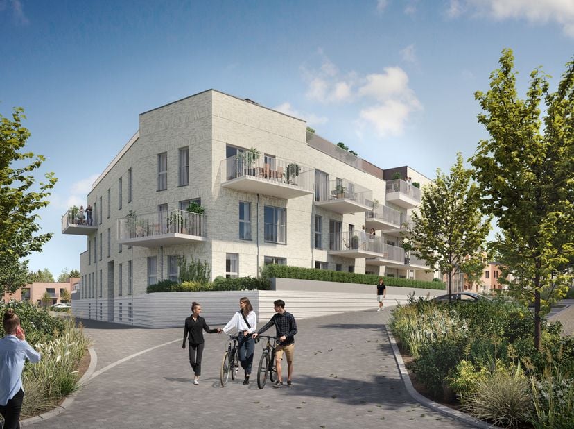 Project te koop in Rue Saint-Luc 33 bus A,
                    5004 Bouge