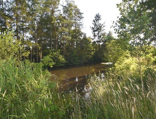                                         Terrain de loisirs à vendre à Begijnendijk, € 65.000
