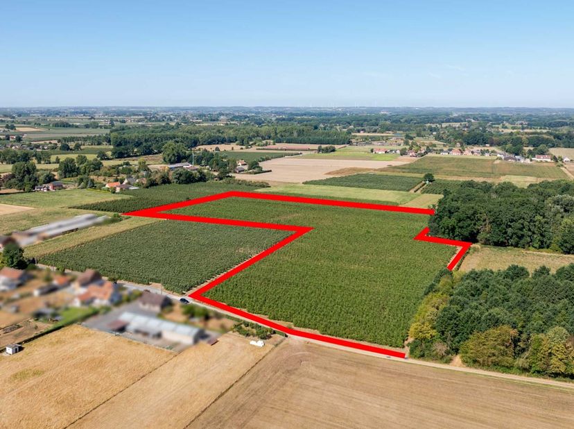 PERENBOOMGAARD -<br />
Een perenboomgaard bestaande uit 7 kadastrale percelen grond gelegen te Hasselt aan de Regenakkerstraat op de grens tussen Stev