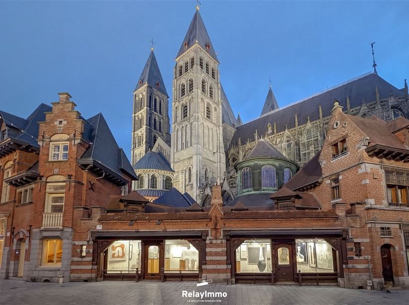 Dit gemengde pand, dat in 2026 volledig is gerenoveerd, is ideaal gelegen aan de voet van het belfort en de kathedraal van Doornik. Het biedt een uits