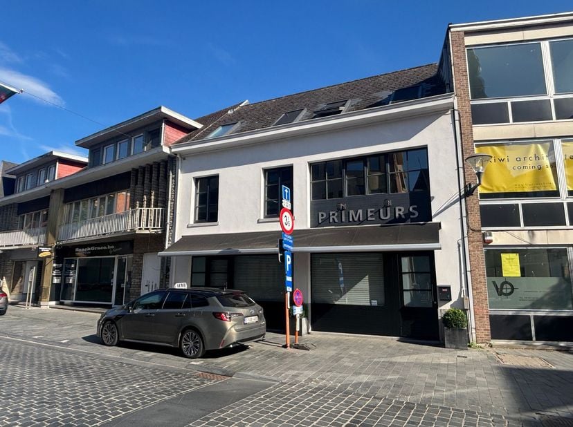 RUIM, LUMINEUS EN GOED ONDERHOUDEN DUPLEX-APPARTEMENT 132M² MET 2 SLAAPKAMERS EN ZUID-GEORIËNTEERD TERRAS.<br />
 1ste en 2de verdieping - ligging in