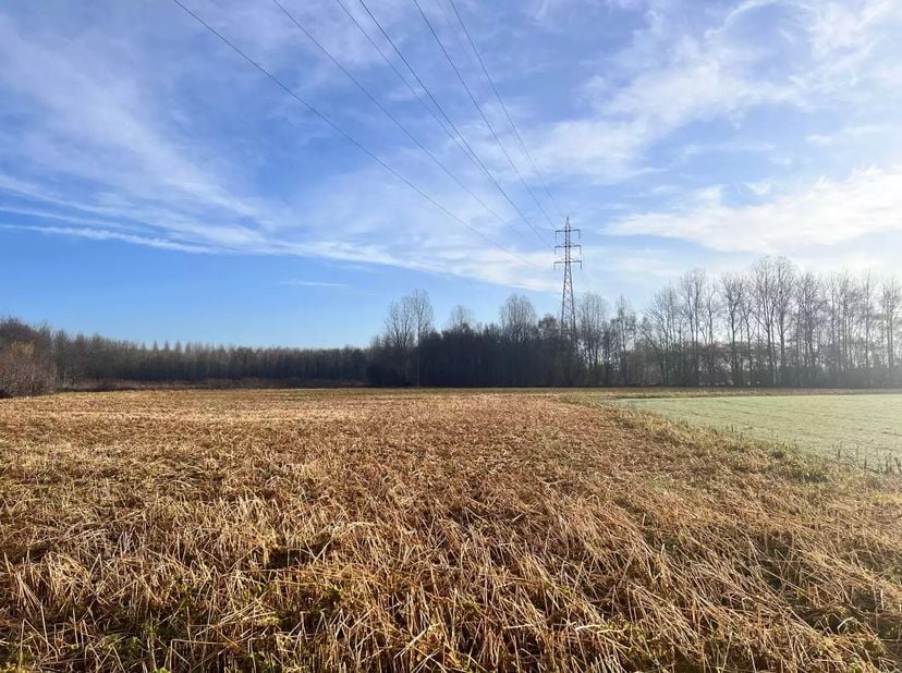 Ces trois parcelles de terres agricoles sont situées dans la rue calme Haverstraat à Louvain (Wijgmaal), au cur d'une zone agricole de grande valeur p