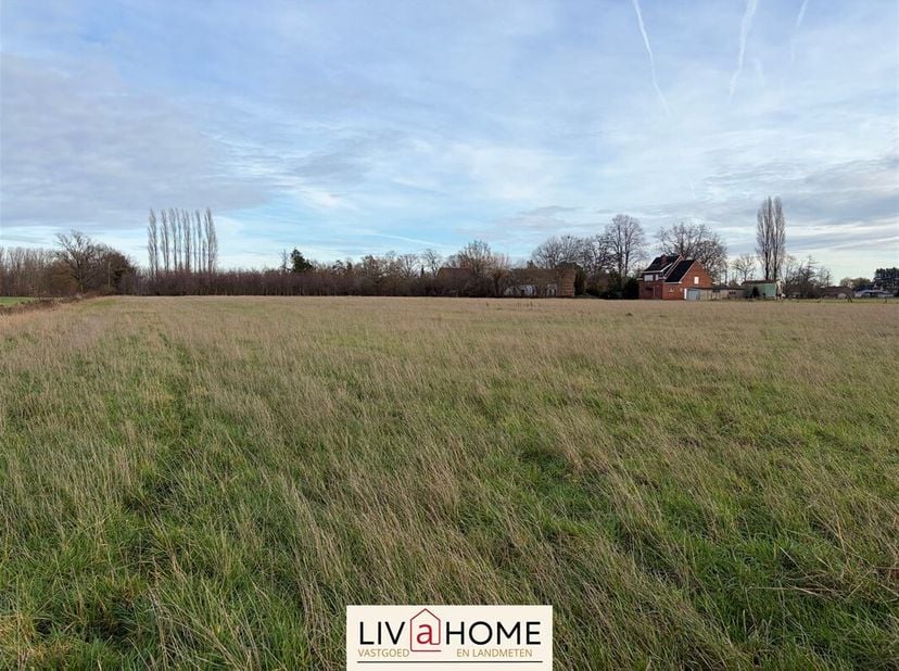 Te koop: Rustig gelegen landbouwgrond van 1,3 ha in Putte<br />
Dit weiland is uitermate geschikt voor landbouw- of hobbydoeleinden, dierenweide of al