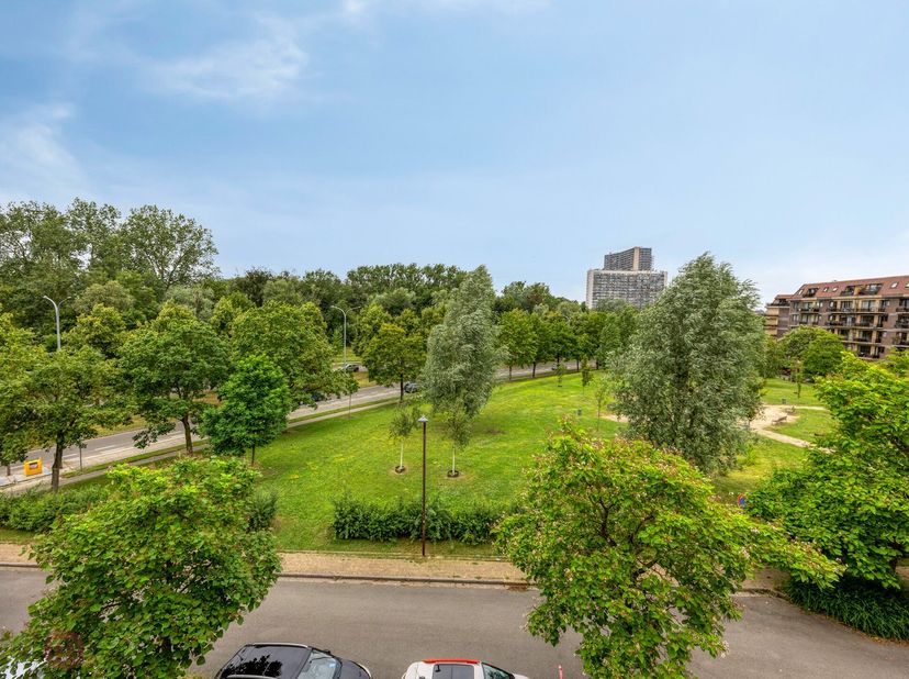 Ruim en lichtrijk appartement met twee terrassen en uitzicht op het Vijverpark aan de rand van Anderlecht