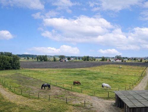                                         Landbouwgrond te koop in Slijpe, € 89.000

