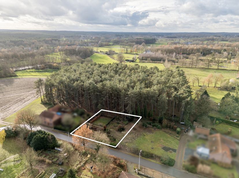 Gelegen in een zeer rustige en landelijke omgeving in Schoot (Tessenderlo), vlakbij natuurgebieden Gerhagen en Averbode Bos &amp;amp; Heide. De Markt van