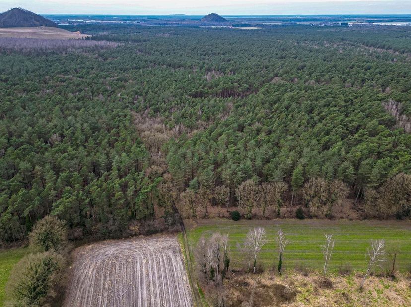 Prachtig bosperceel van 45a50ca in rustige groene omgeving<br />
<br />
Omgeving:<br />
+ Gelegen in een rustige en landelijke omgeving<br />
+ Vl