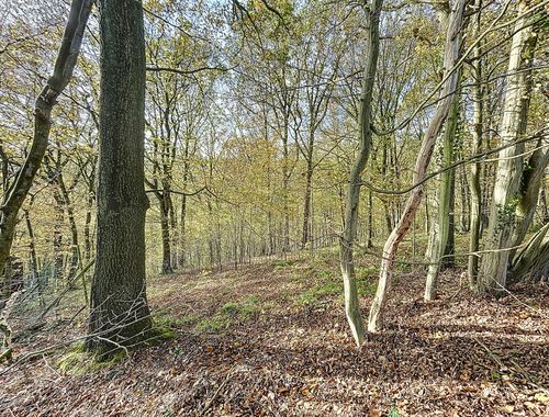                                         Terrain à bâtir à vendre à Sprimont, € 85.000
