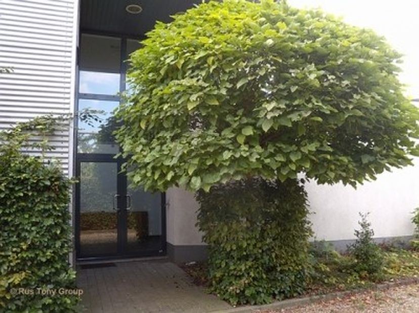 Industriehal- KMO-unit te huur.<br />
Dit multifunctionele bedrijfspand draagt bij aan de uitstraling van uw bedrijf!<br />
<br />
Industriehal (met o