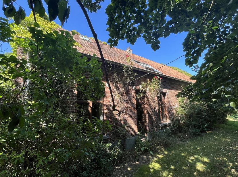 Charmante, op te knappen hoeve met ruim bijgebouw. In een landelijke omgeving op een perceel van 8374 m². Met ruime tuin en bijhorend weiland. In een