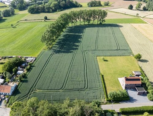                                         Terrain à bâtir à vendre à Ellezelles, € 460.000
