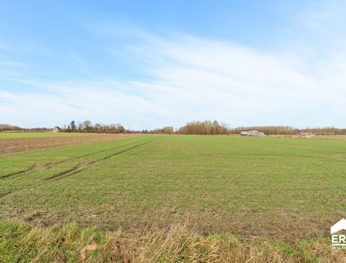                                         Terrain agricole à vendre à Drieslinter, € 75.000
