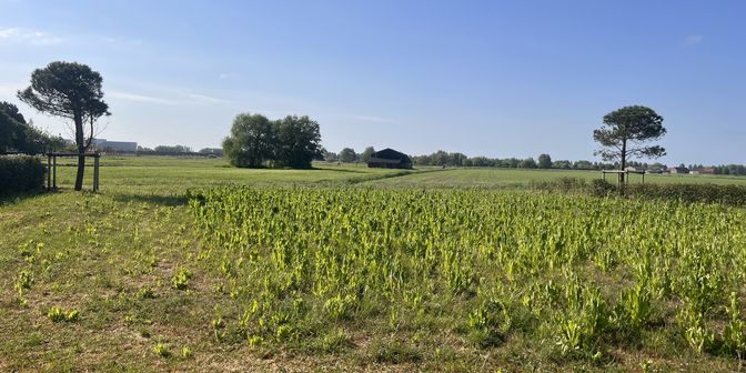 Terrain à vendre à René Magrittelaan 18, 8300 Westkapelle