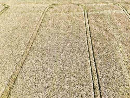                                         Terrain agricole à vendre à Flémalle-Grande, € 1.095.000
