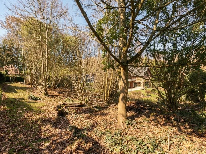 In een charmant afgesloten terrein, ideaal gelegen, presenteert Victoire-Junot deze zuidgerichte bouwgrond van ongeveer 7,15 are. Mogelijkheid om er e
