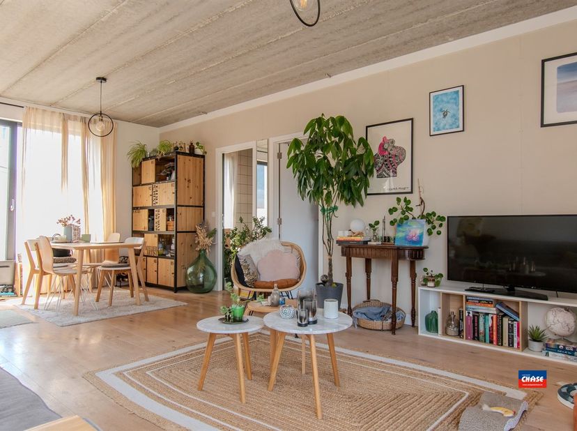 HOBOKEN | APPARTEMENT CONVIVIAL AVEC SALON LUMINEUX ET TERRASSE SUR LE TOIT, SITUÉ AU DEUXIÈME ÉTAGE D'UN PETIT IMMEUBLE | EPC A |<br />
Agencement :