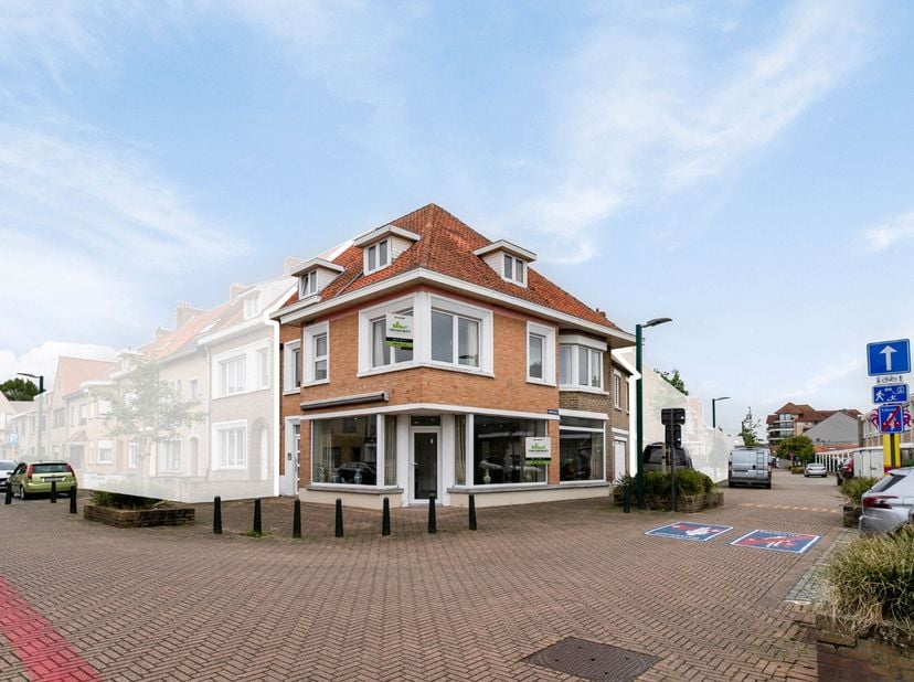 Bien professionnel à vendre à Adinkerkelaan 6,
                    8660 De Panne
