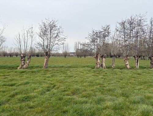                                         Landbouwgrond te koop in Sijsele, € 395.000
