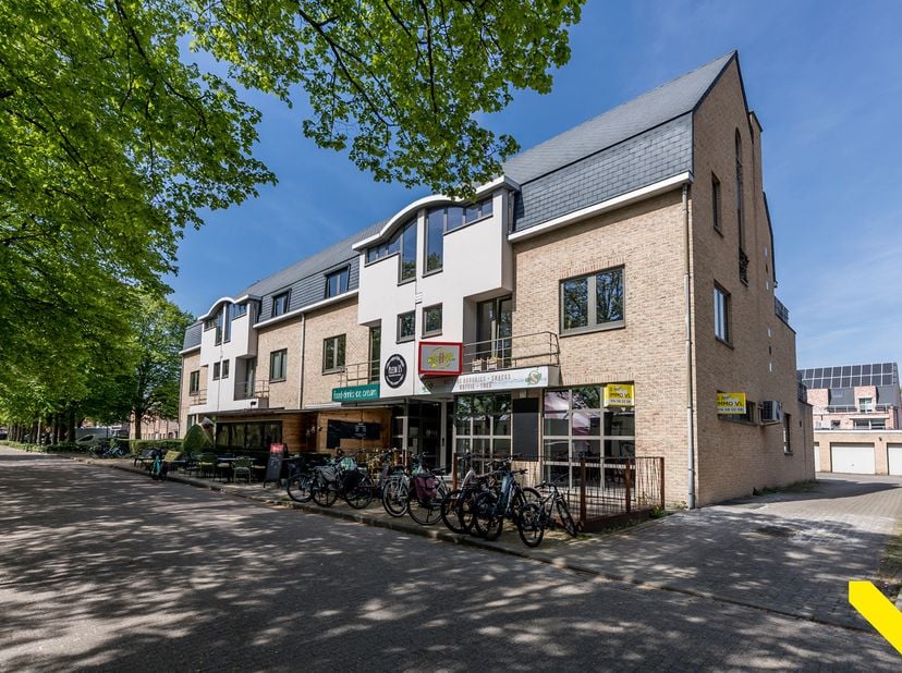Bien professionnel à vendre
                    à 2260 Oevel